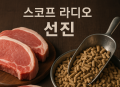 프리미엄 회원에게만 제공되는 기사입니다